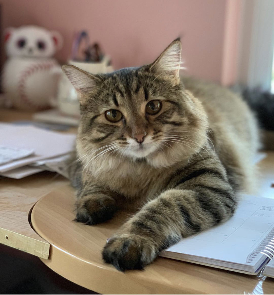Rosie